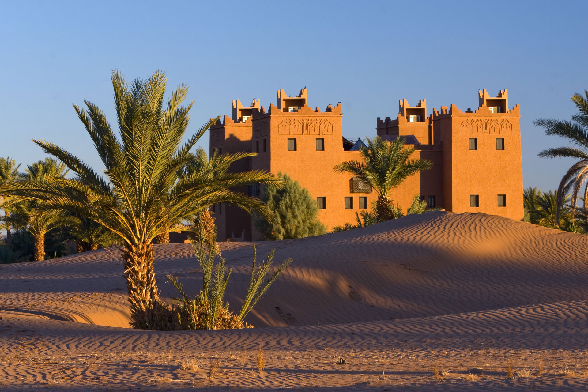 8 days from Casablanca desert tour