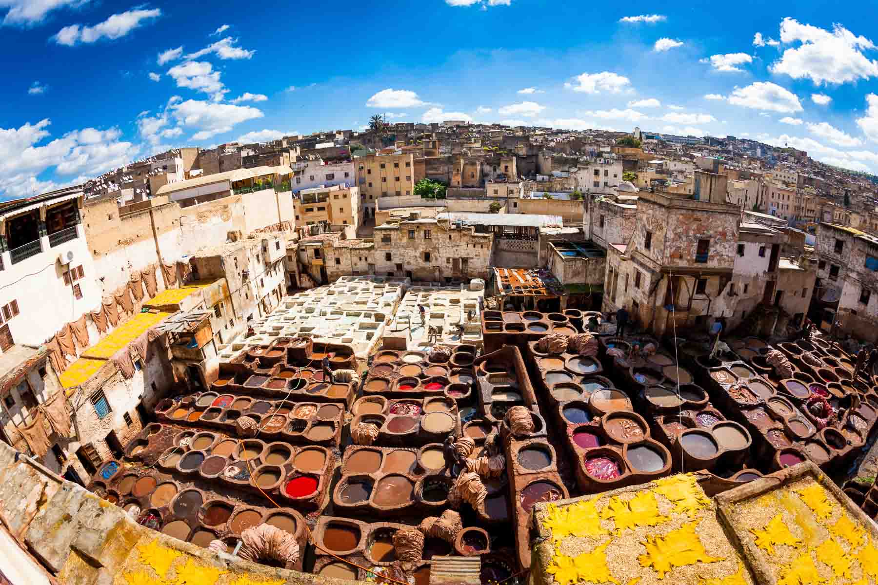 Day Trips from Fes